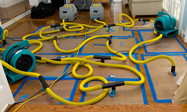 Professional Structural Drying And Dehumidification technician working in Amo, IN